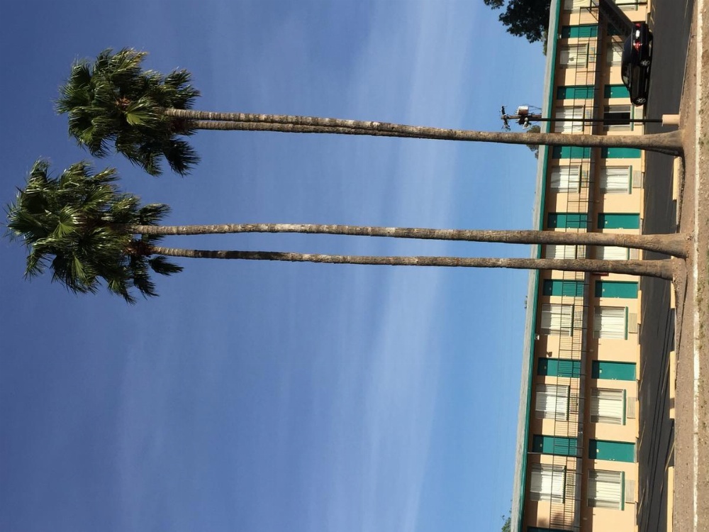 Amazon Motel Image 18