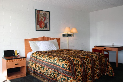 Amazon Motel image 3